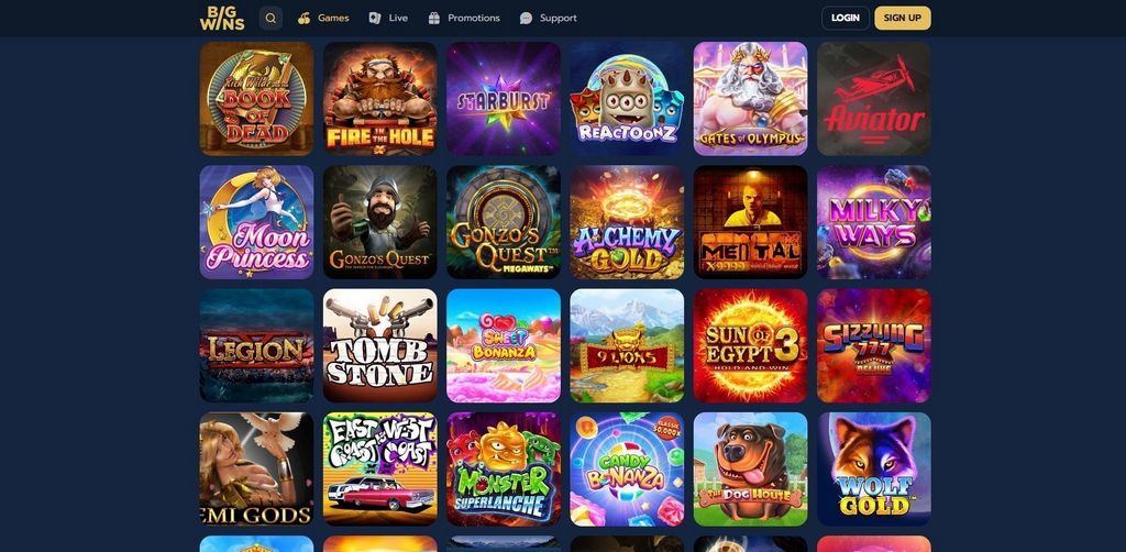 Credibility - What Do Player Reviews Say About BigWins?